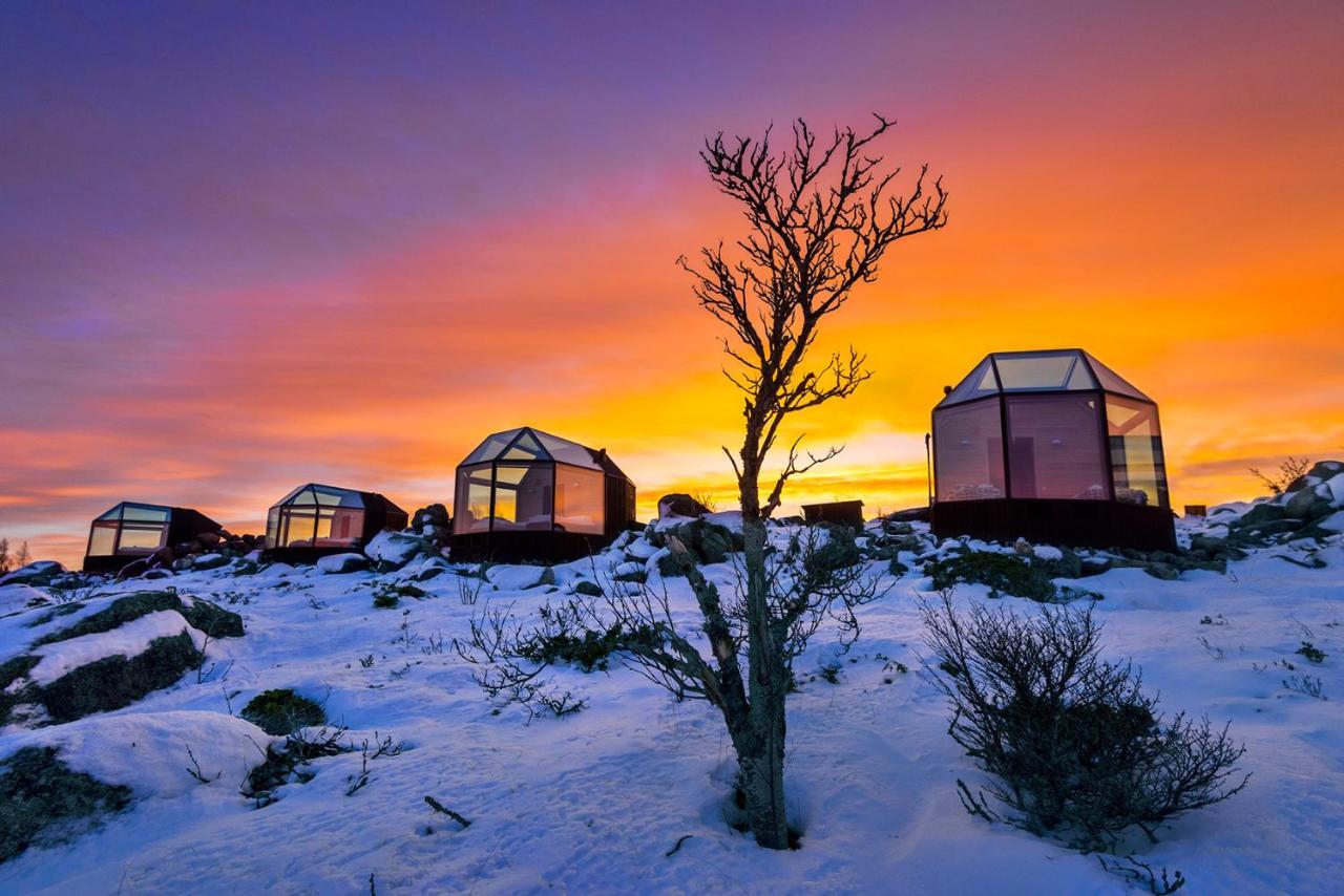 Kalle'S Inn Glass Houses Soderudden Exterior foto